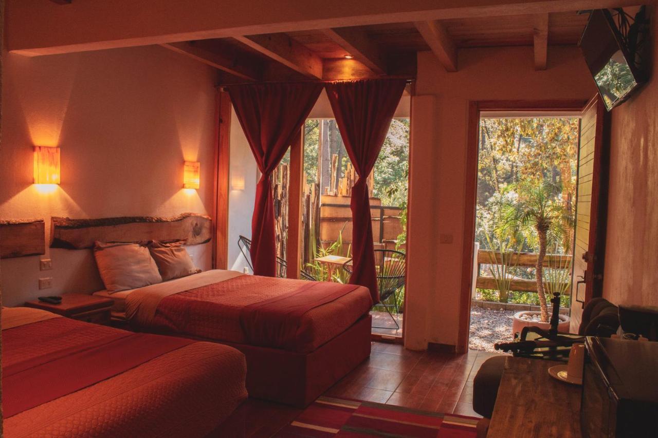 فيلا فالي دي برافوفي Encino House المظهر الخارجي الصورة